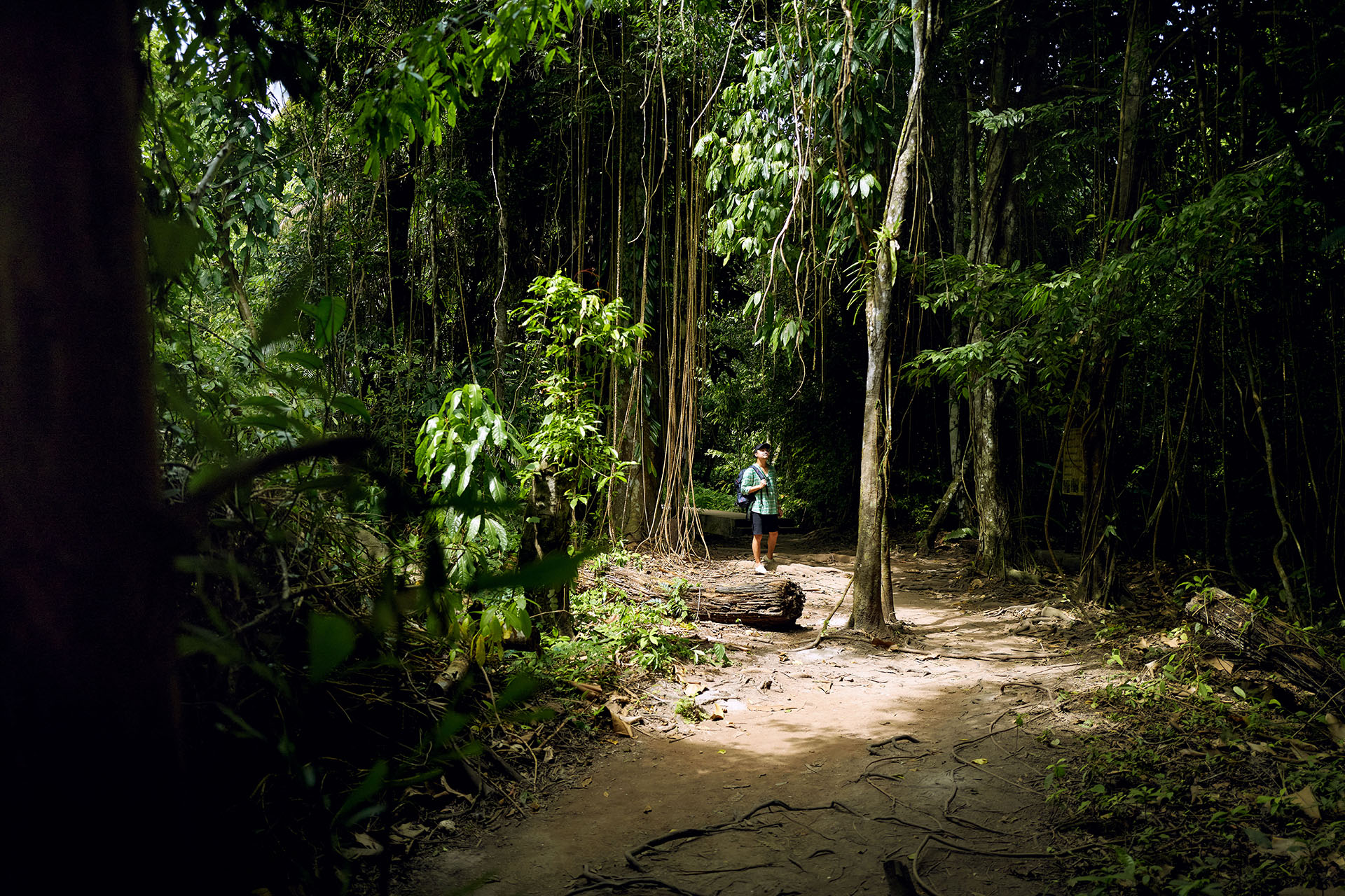 View full size version of TUI Musement Thailand no. 8